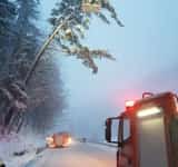 Detalii despre accidentul de la Azuga, unde un brad imens a căzut peste o mașină